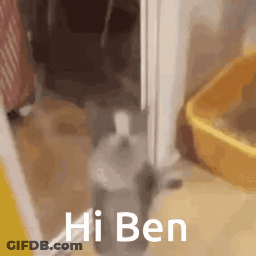 Jumping Happy Cat Says Hi Uncle Ben GIF