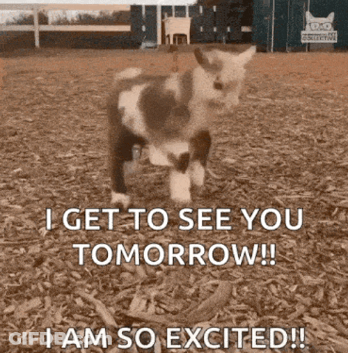 Jumping Kid Jumping GIF