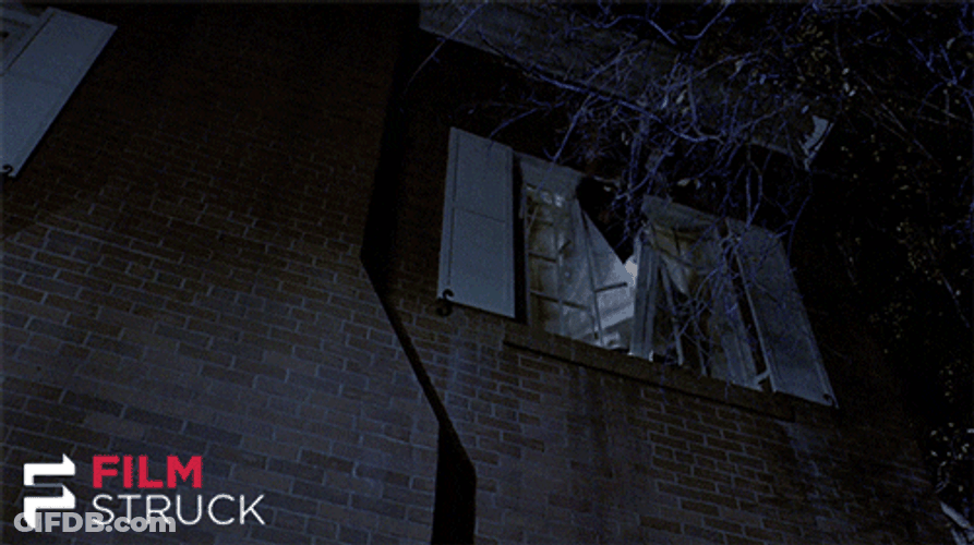 Jumping Out Window The Exorcist Scene GIF