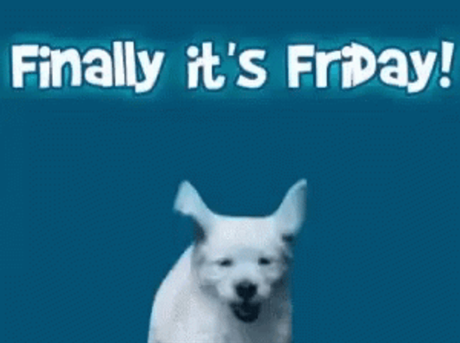 Jumping Puppy Finally Its Friday Almost The Weekend GIF