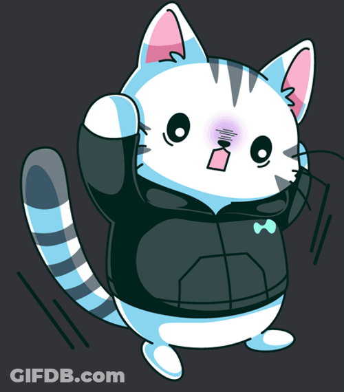 Jumping Purr Coin Cat GIF