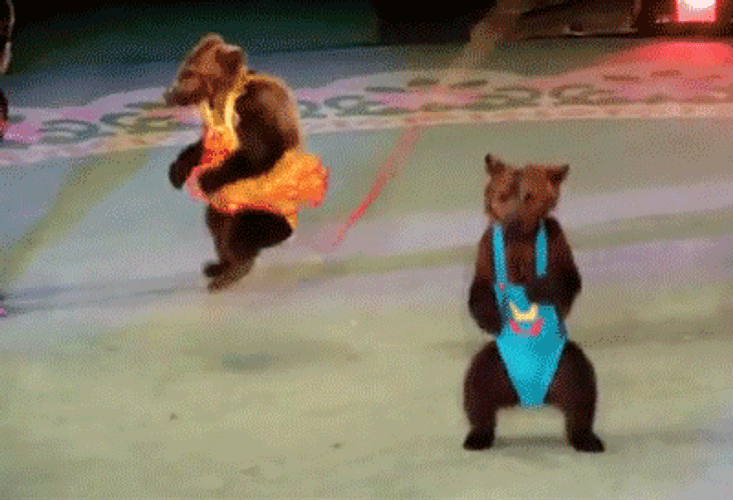 Jumping Rope Bear Costumes GIF