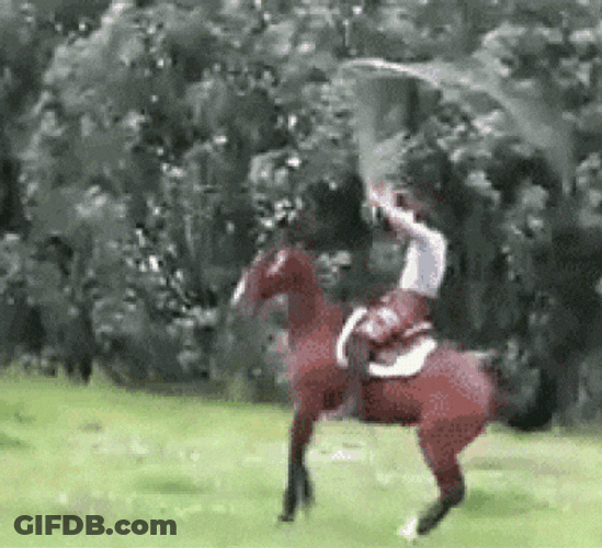 Jumping Rope Man Riding Pommel Horse GIF