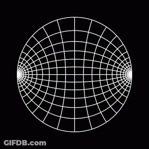 Jumping Spider Saying Have You Seen Me GIF