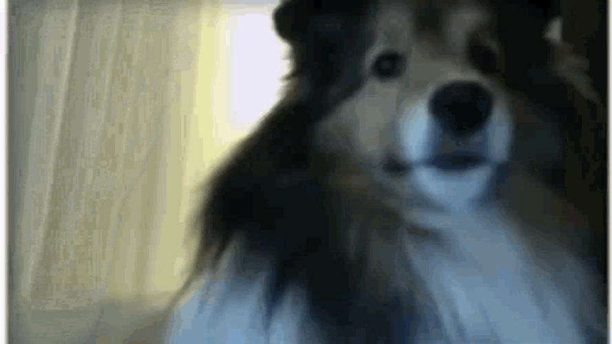 Jumpscare GIF