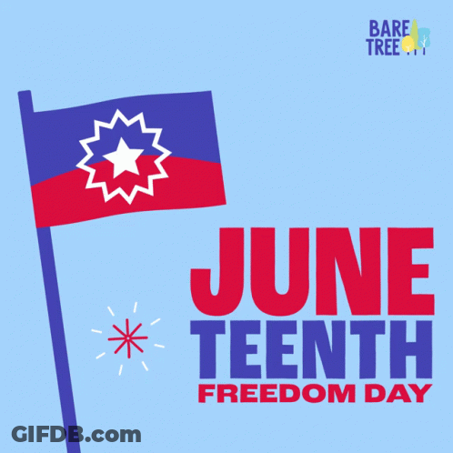 June Tenth Freedom Day Banner With Flag And Fireworks GIF