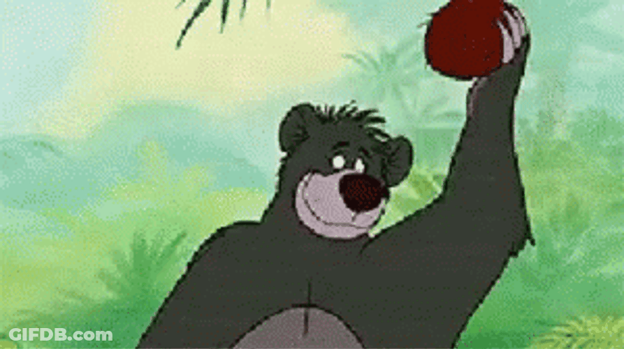 Jungle Book Baloo Eating Coco GIF
