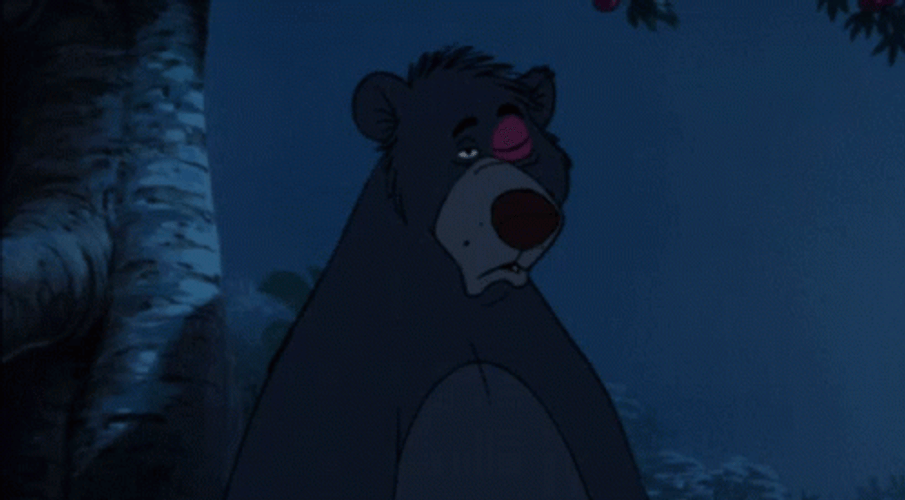 Jungle Book Baloo Shrug GIF