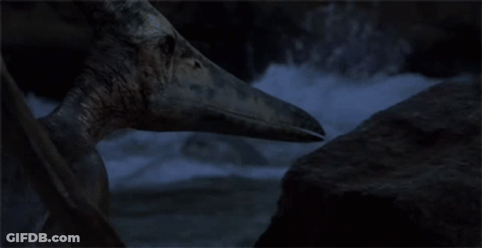 Jurassic Park Pteranodon Glance GIF