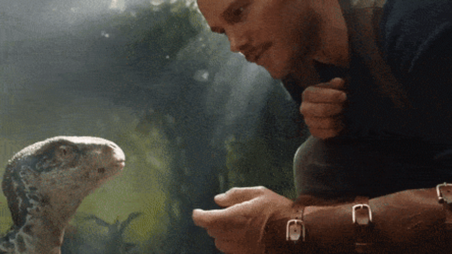 Jurassic World Baby Dinosaur GIF