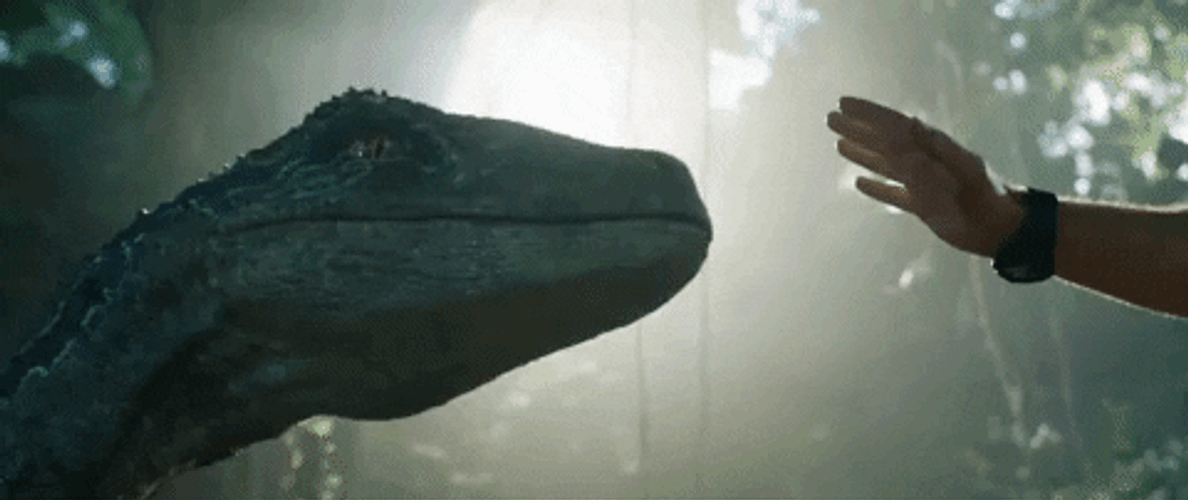 Jurassic World Reaching A Dinosaur GIF