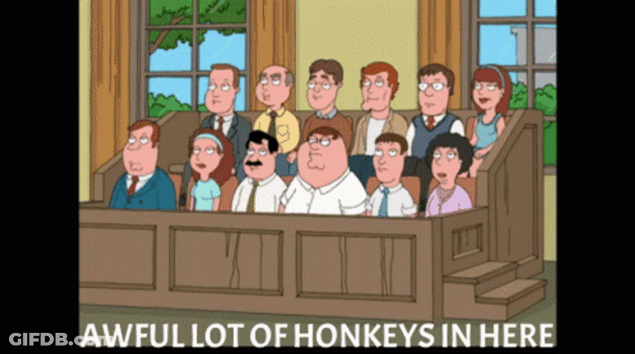 Jury Duty Peter Griffin Family Guy GIF