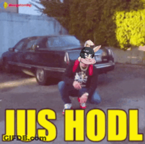 Jus Hodl GIF