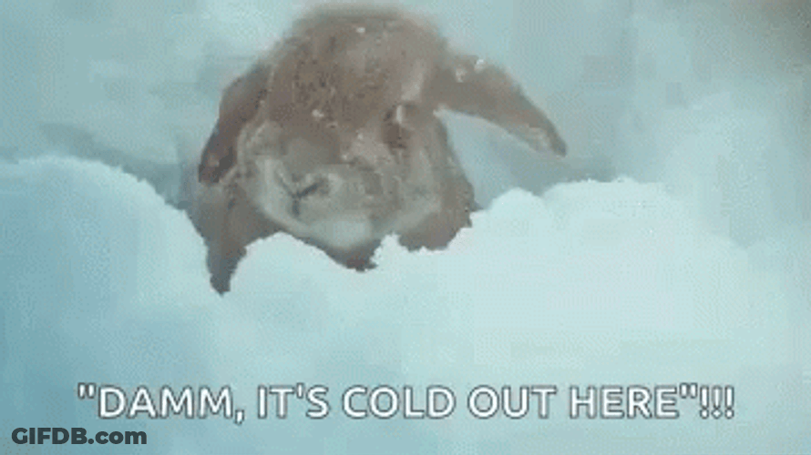 Just A Bit Cold Outside Out Here GIF
