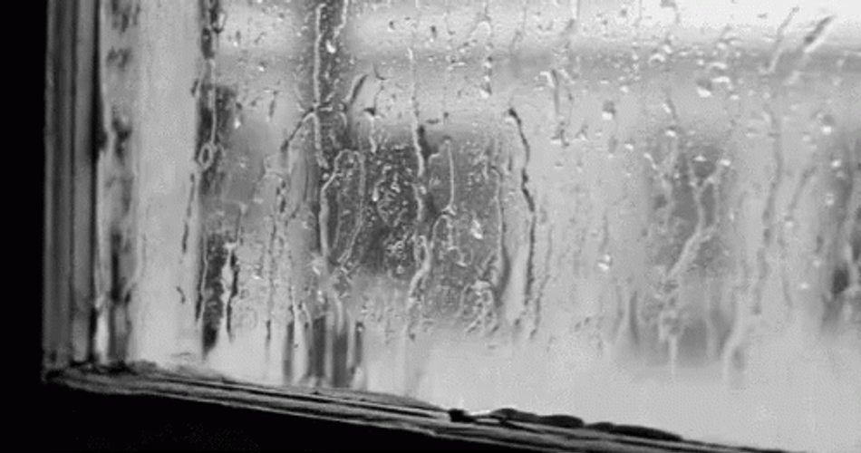Just A Bit Rainy Outside GIF