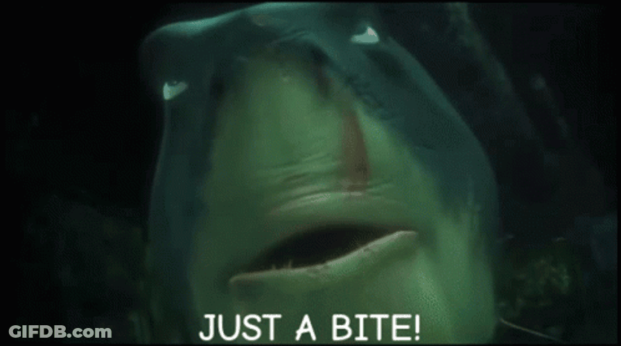 Just A Bite Shark GIF