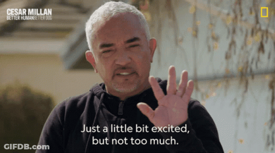 Just A Little Bit Excites But Not Too Much GIF