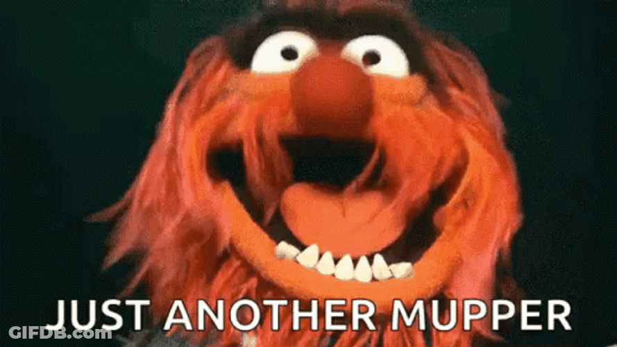Just Another Muppets Animal GIF