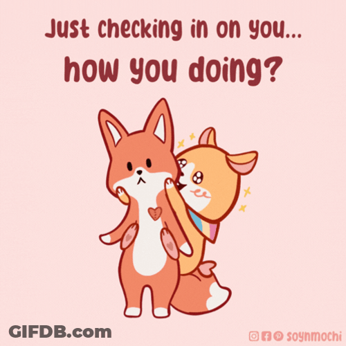 Just Checking In On You Cute Cat GIF