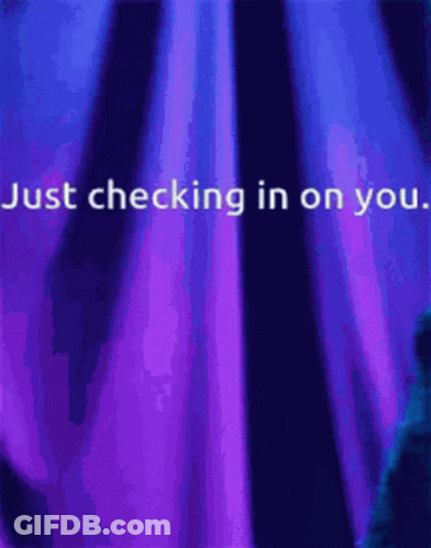 Just Checking In On You GIF