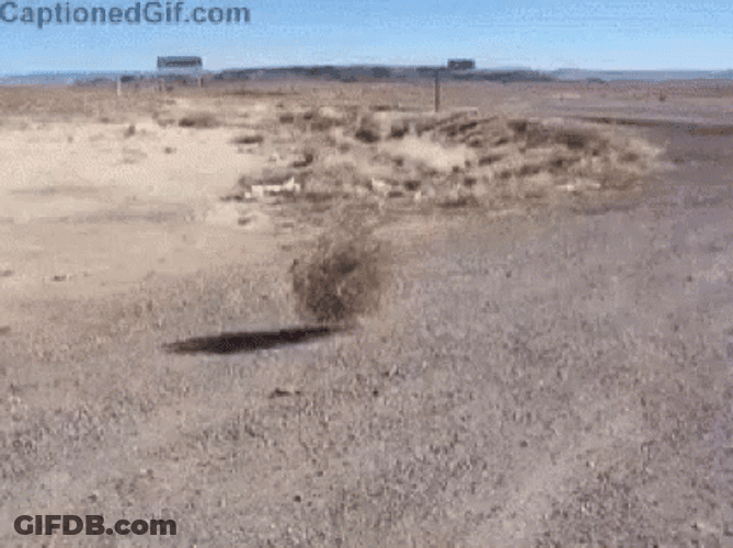 Just Chilling In The Desert GIF