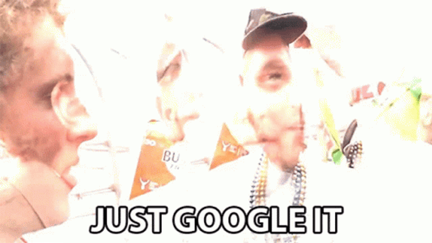 Just Google It Bro Meme GIF