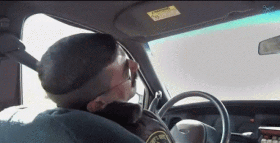 Just Had Weirdest Dream Reno 911 GIF