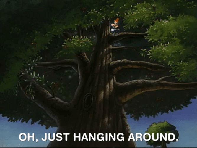 Just Hanging Around The Tree GIF