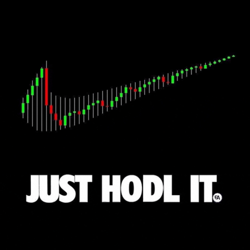 Just Hodl It Poster GIF