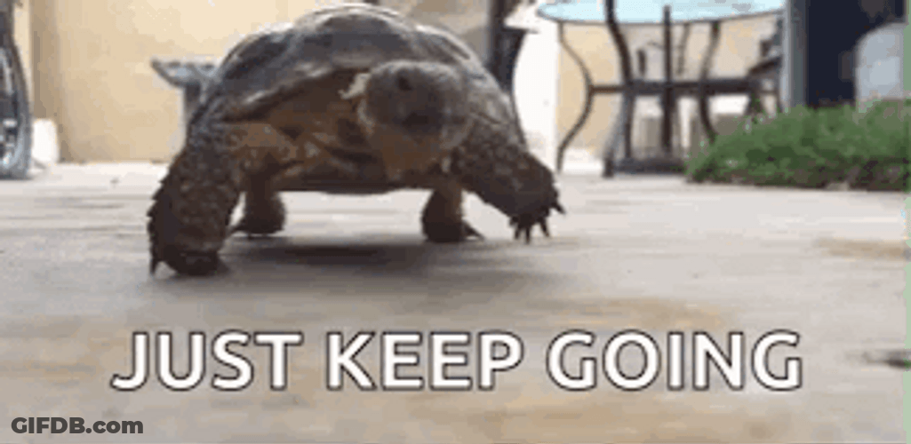 Just  Keep Going Turtle GIF