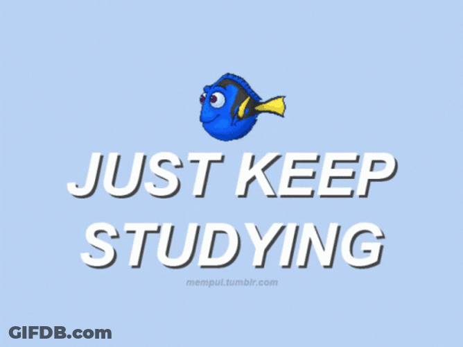 Just Keep Studying GIF