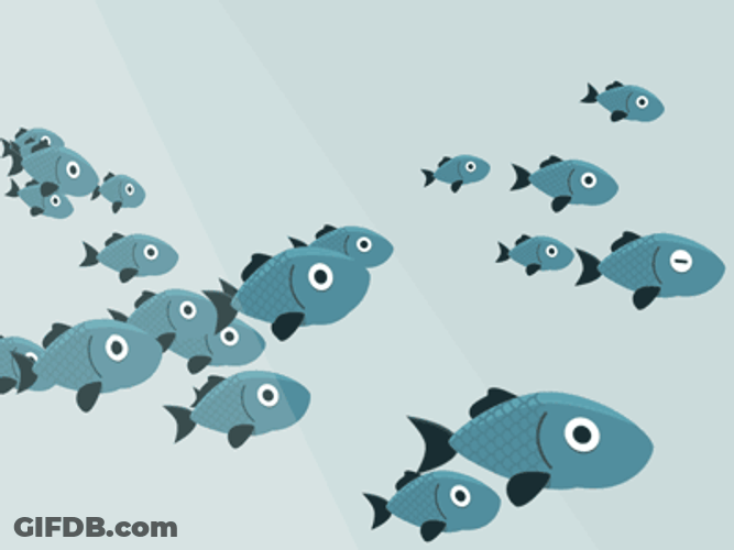 Just Keep Swimming Animated School Of Fish GIF