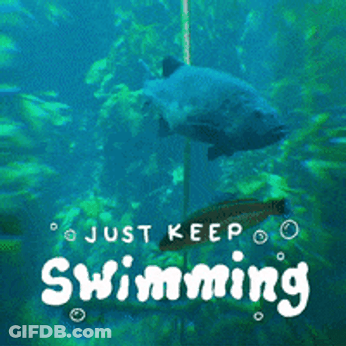 Just Keep Swimming Gian Sea Bass GIF