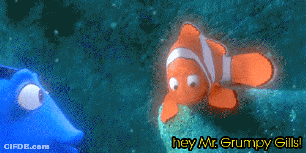 Just Keep Swimming Hey Mr. Grumpy Grills GIF