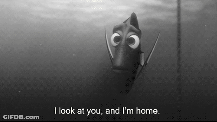 Just Keep Swimming I Look At You I'm Home GIF