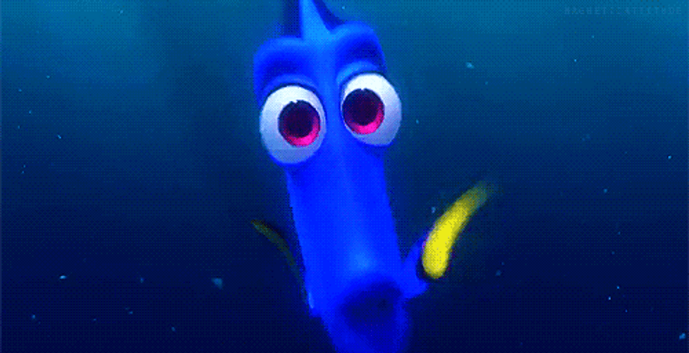 Just Keep Swimming Persistent Wide Eyes GIF