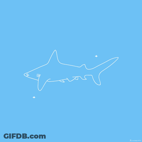 Just Keep Swimming Shark Drawing Animation GIF