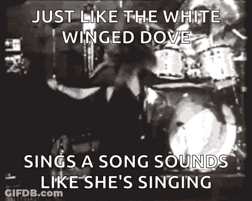 Just Like The White Winged Dove Sings A Song Sounds Like She Is Singing Poster GIF