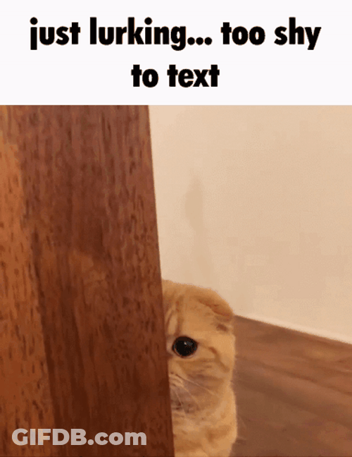 Just Lurking To Shy To Text GIF