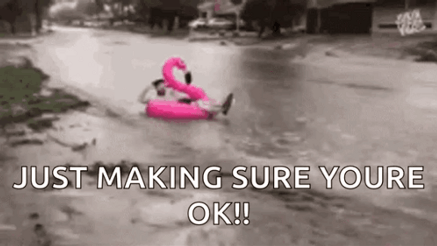 Just Making Sure You're Safe From Flooding GIF