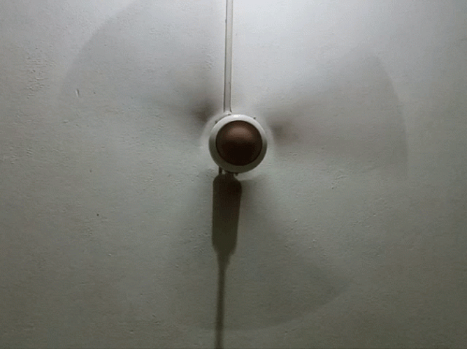 Just One Fan To Stay Cool GIF