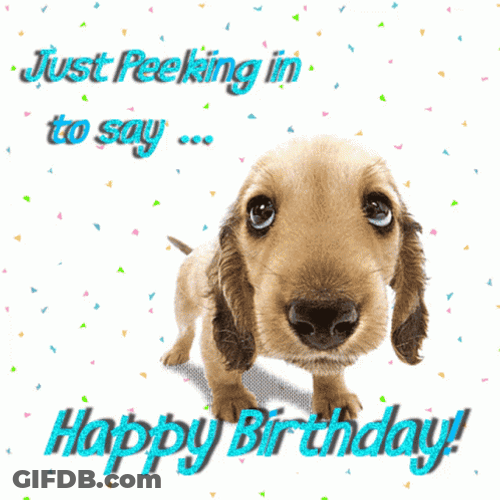 Just Peeking To Say Happy Birthday Dachshund GIF