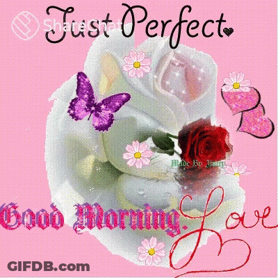 Just Perfect Flowers And Butterflies GIF
