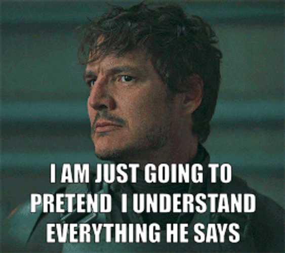 Just Pretend I Understood Everything He Say GIF