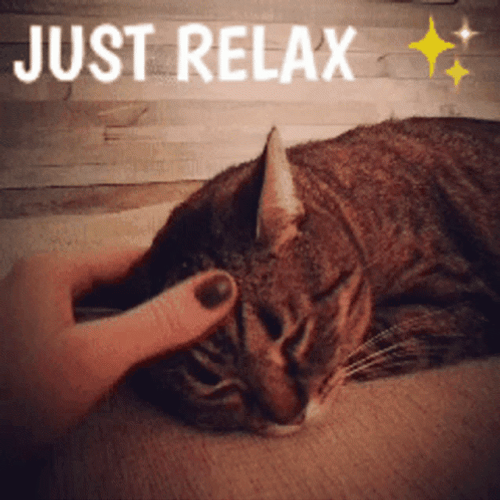 Just Relax Calm Down GIF