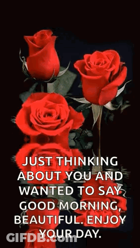 Just Thinking About You And Wanted To Say Good Morning , Beautiful . Enjoy Your Day GIF