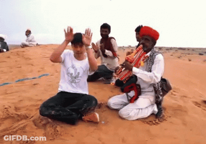 Just Vibing In The Desert GIF
