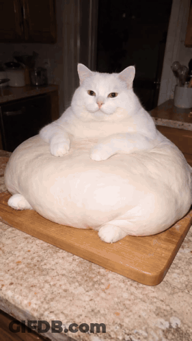 Just Wait Cartoon Character GIF