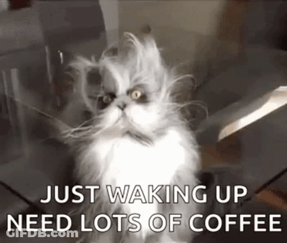 Just Waking Up Need Lots Of Coffee GIF