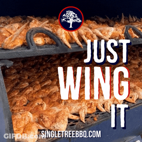 Just Wing It Chicken Wing GIF